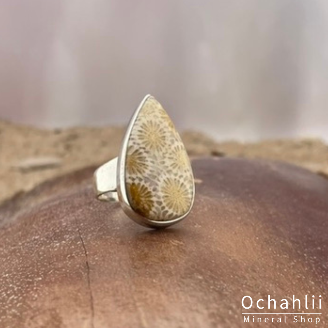 Petrified Coral silver ring size 53