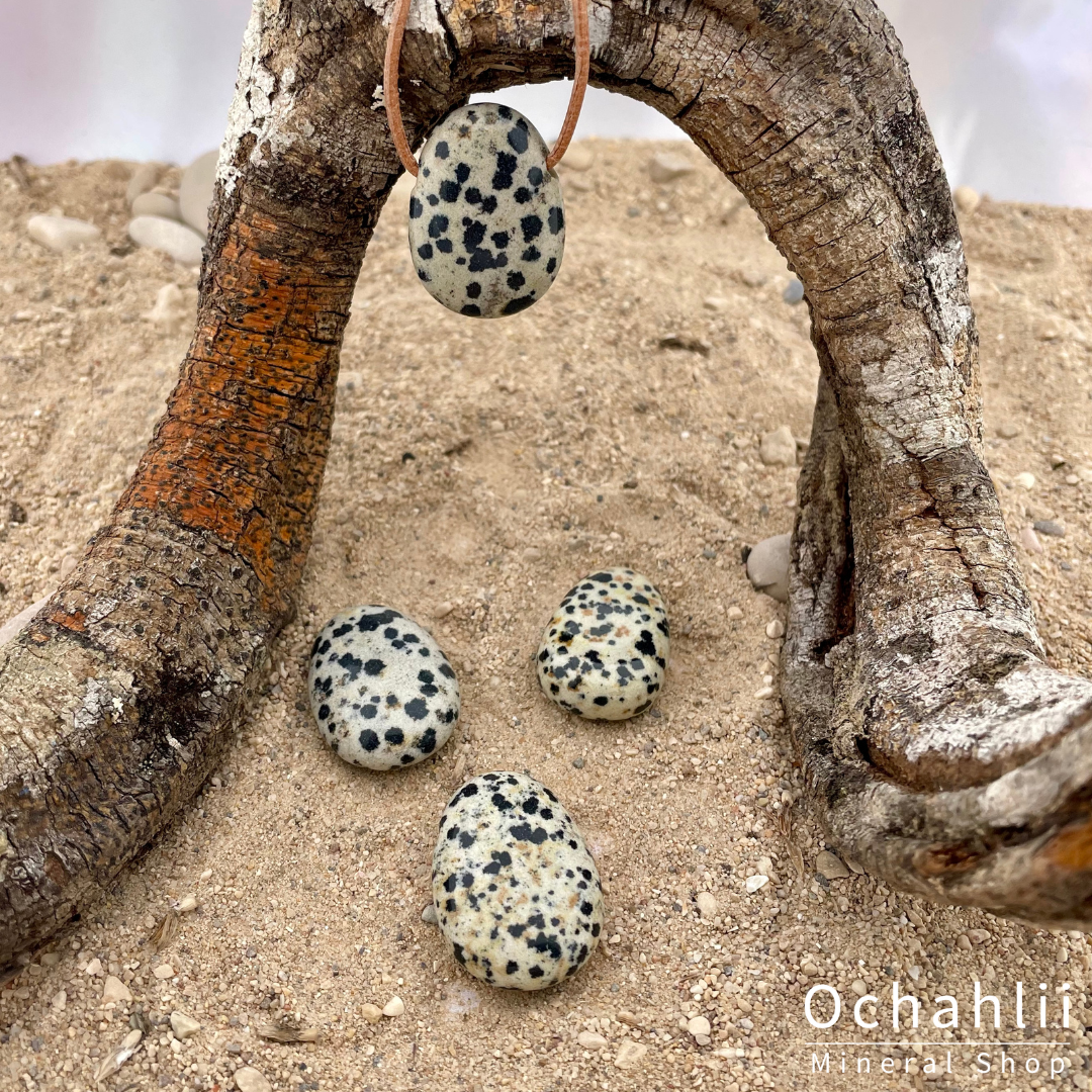 Jaspis Dalmatiër doorboorde hanger