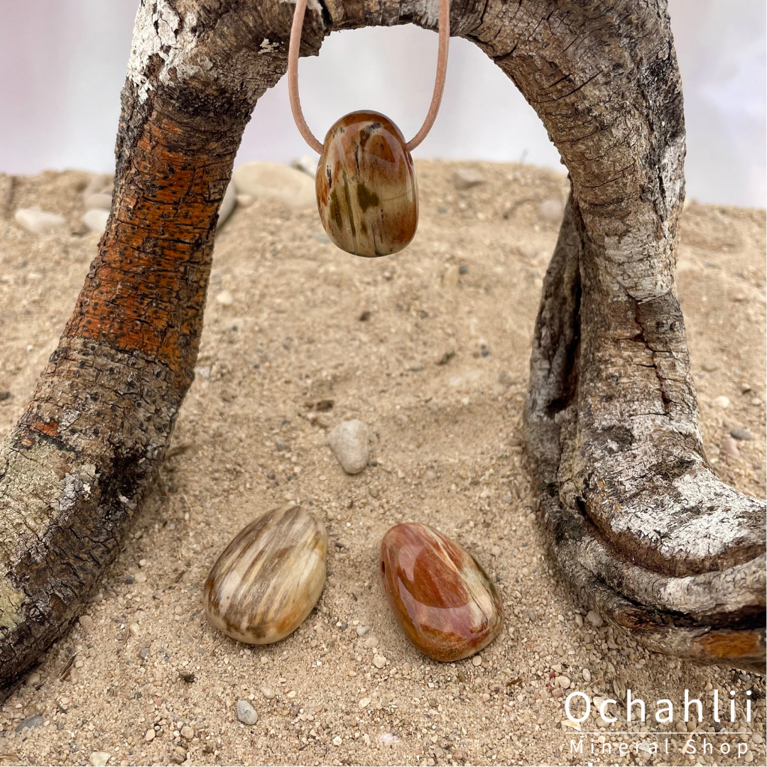 Petrified Wood pierced pendant