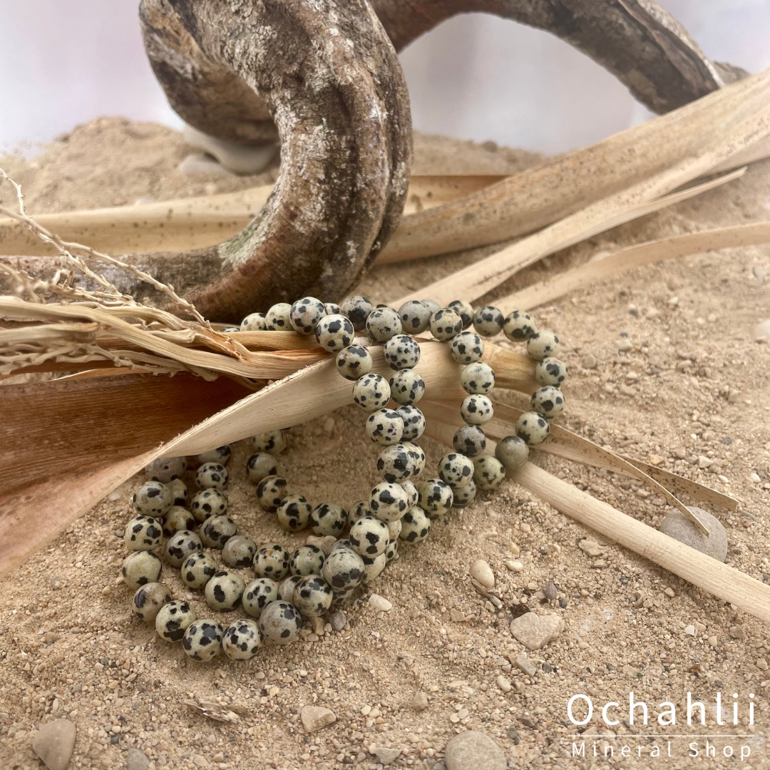 Bracelet Jaspe Dalmatien 8mm