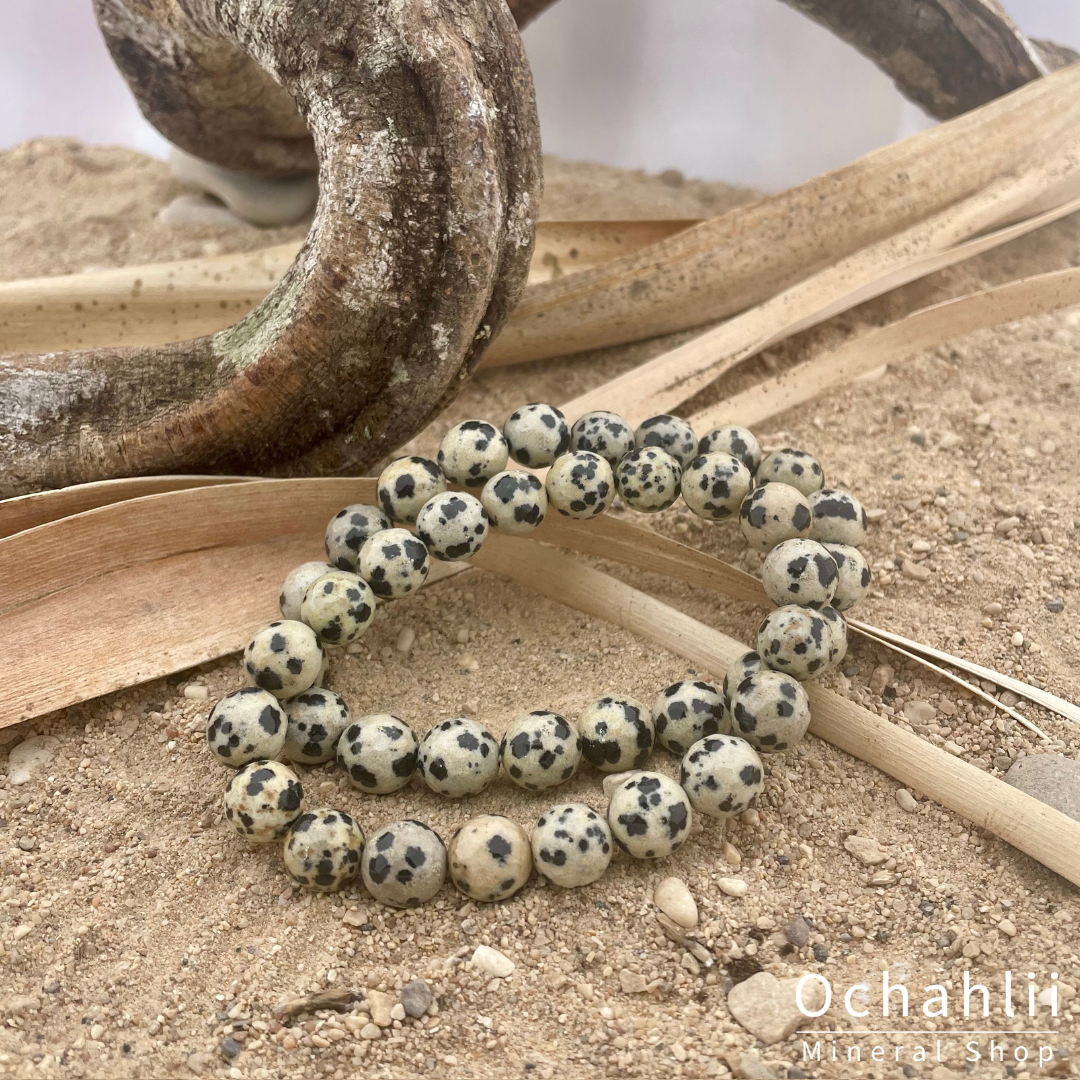 Jasper Dalmatian bracelet facet 10mm