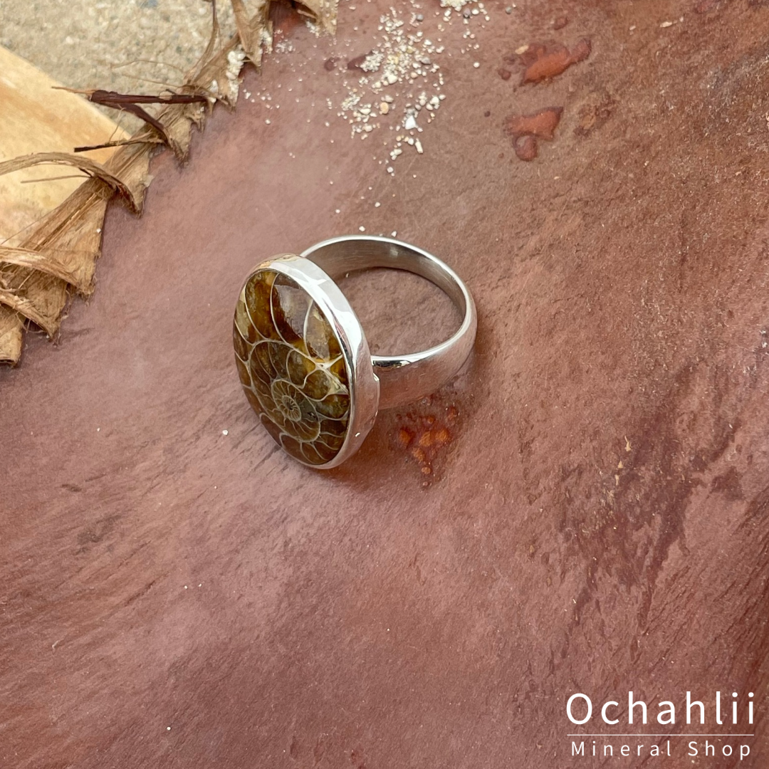 Ammonite silver ring size 61 