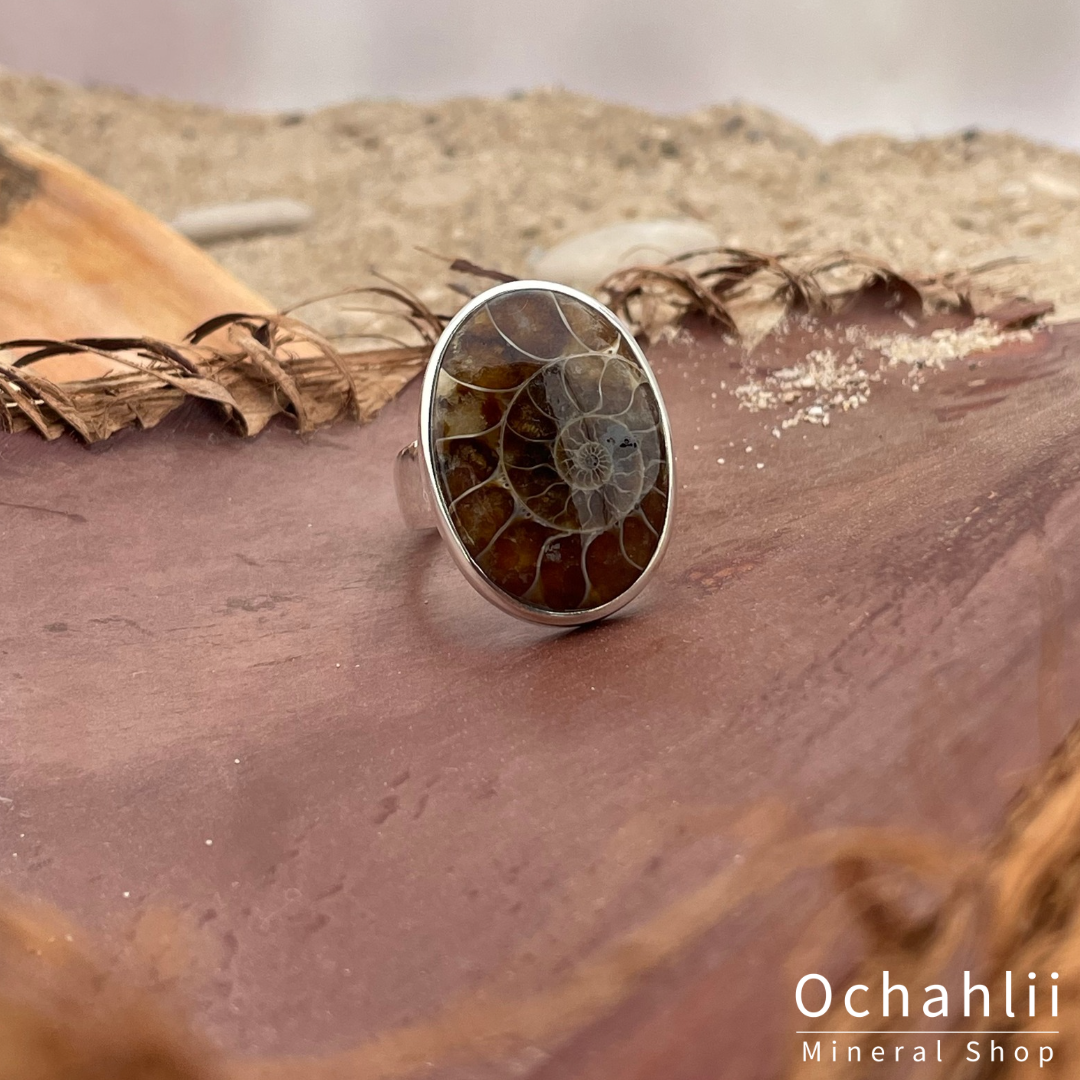 Ammonite silver ring size 61 