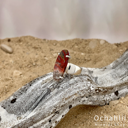 Bague en argent Crazy Lace Agate taille 52 