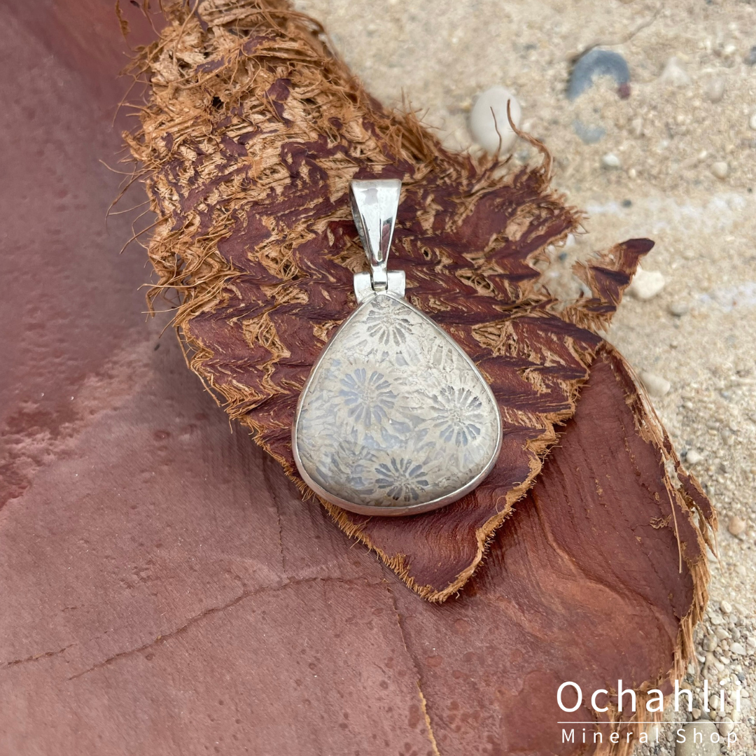 Pendentif en argent et bois pétrifié