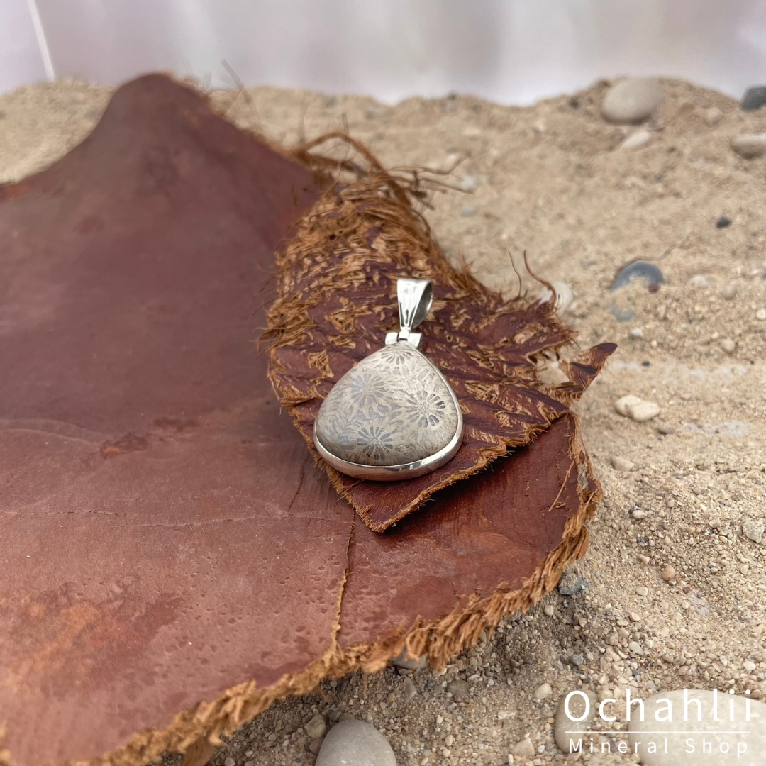 Pendentif en argent et bois pétrifié