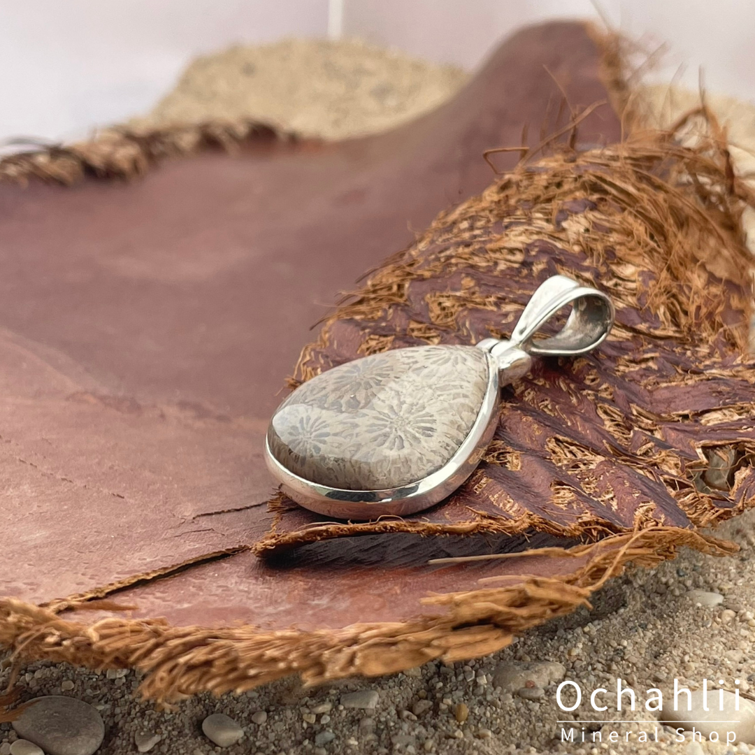 Pendentif en argent et bois pétrifié