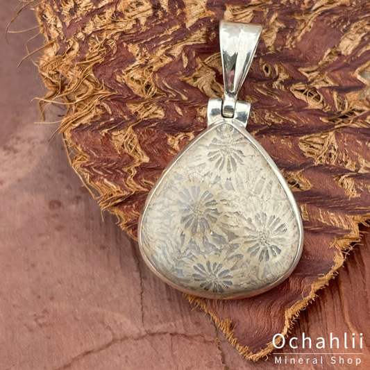 Pendentif en argent et bois pétrifié