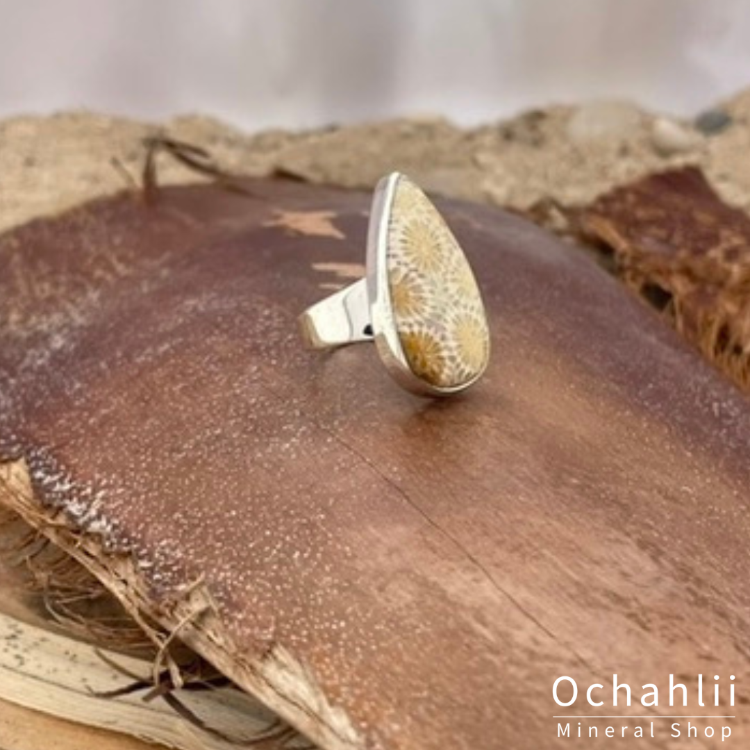 Petrified Coral silver ring size 53 