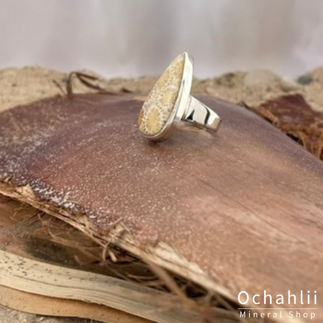 Petrified Coral silver ring size 53 