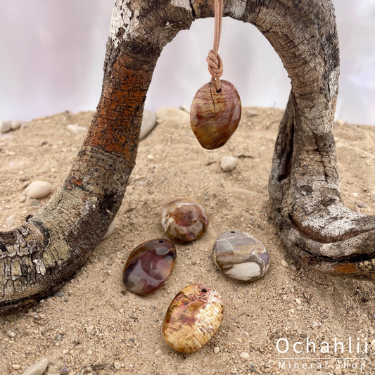 Pendentif percé en bois pétrifié