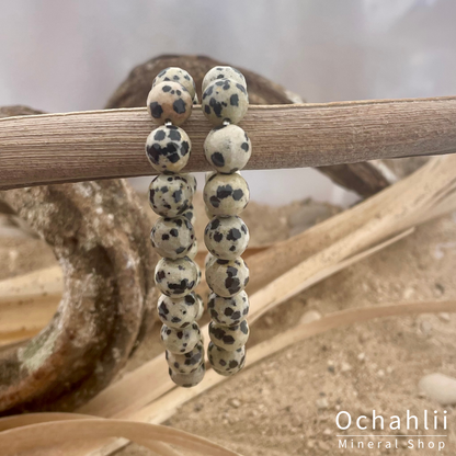 Jasper Dalmatian bracelet facet 10mm