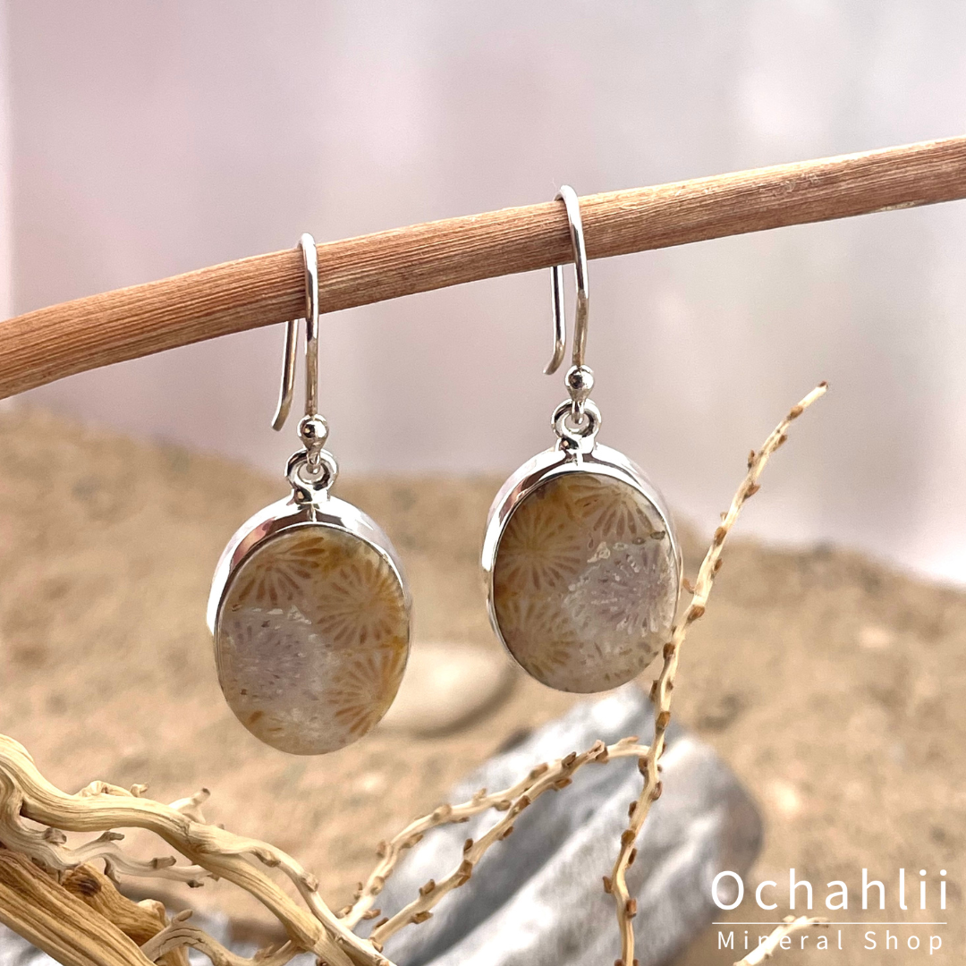 Petrified Coral silver earrings