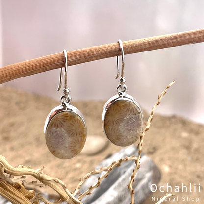 Petrified Coral silver earrings