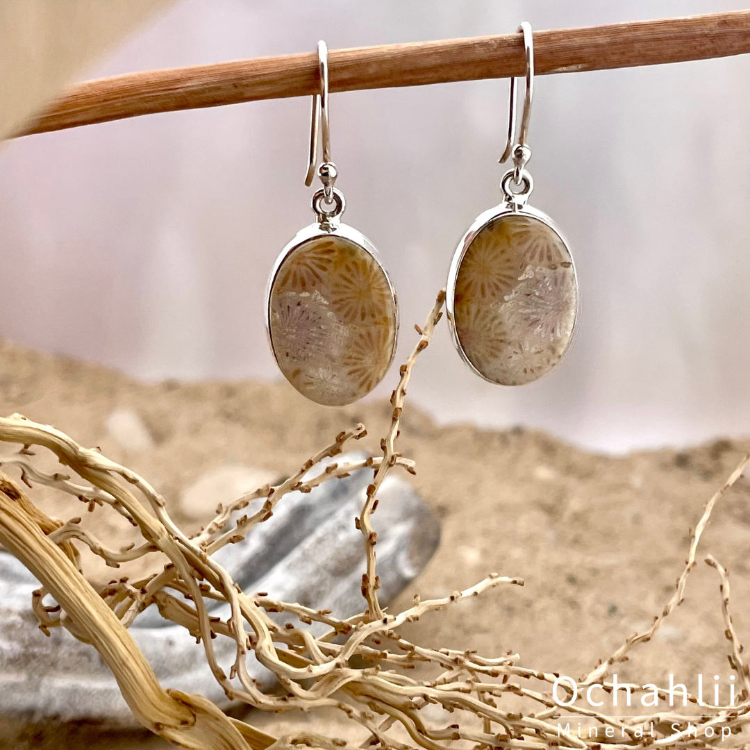 Petrified Coral silver earrings
