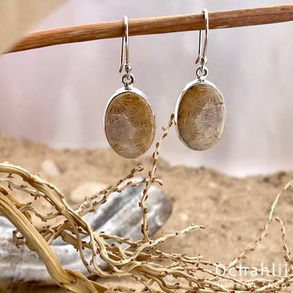 Petrified Coral silver earrings