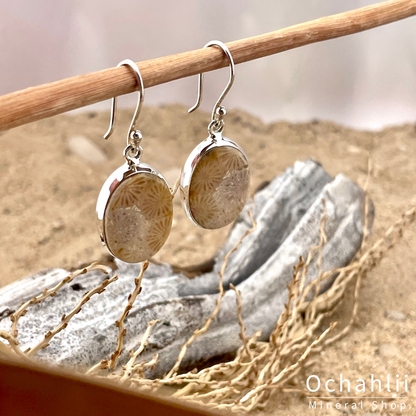 Petrified Coral silver earrings