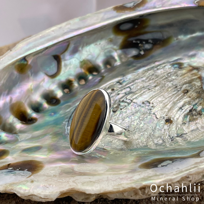 Anillo de plata con ojo de tigre talla 59